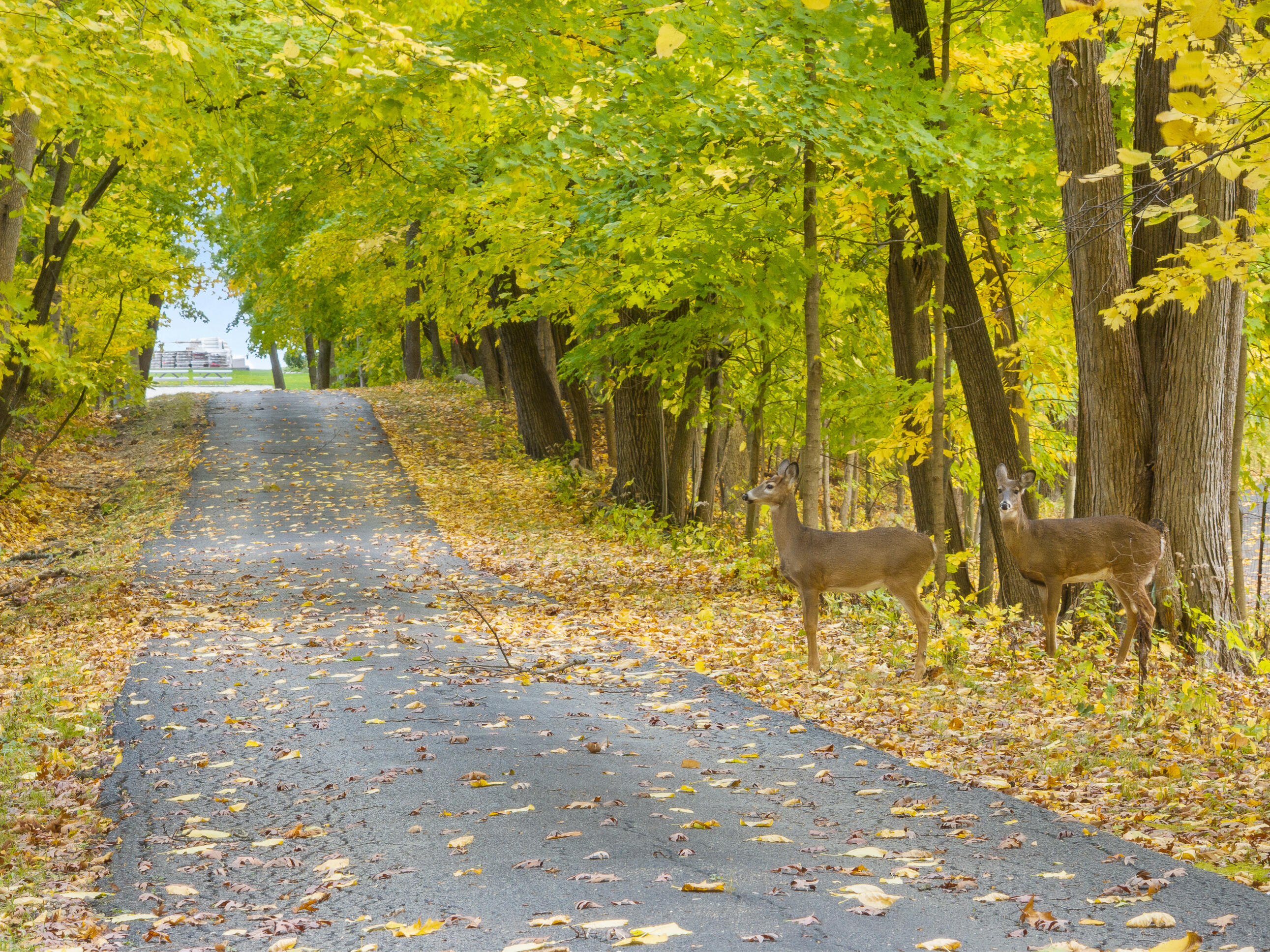 Lot 17 Green Hill Dr