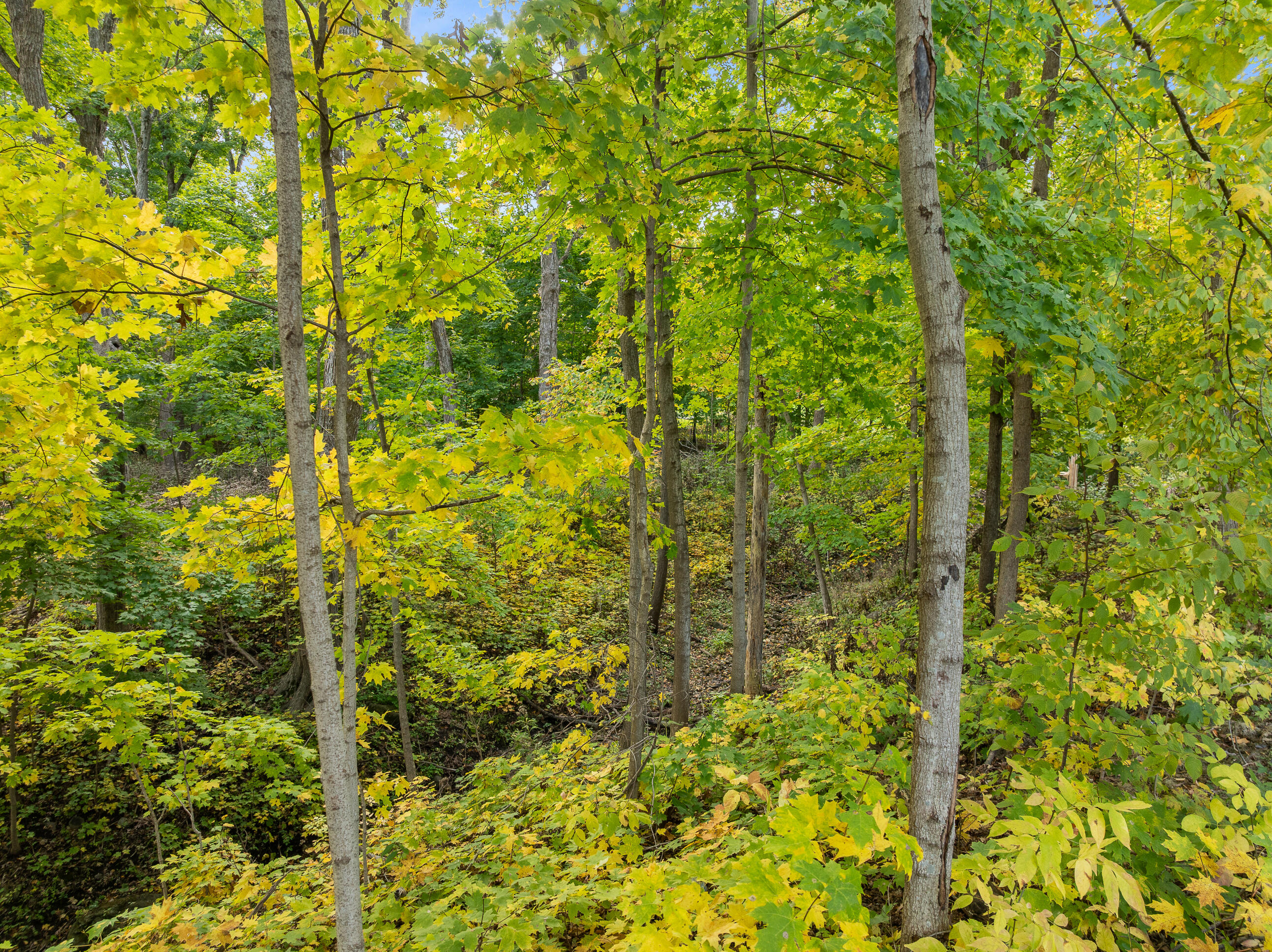 Lot 17 Green Hill Dr