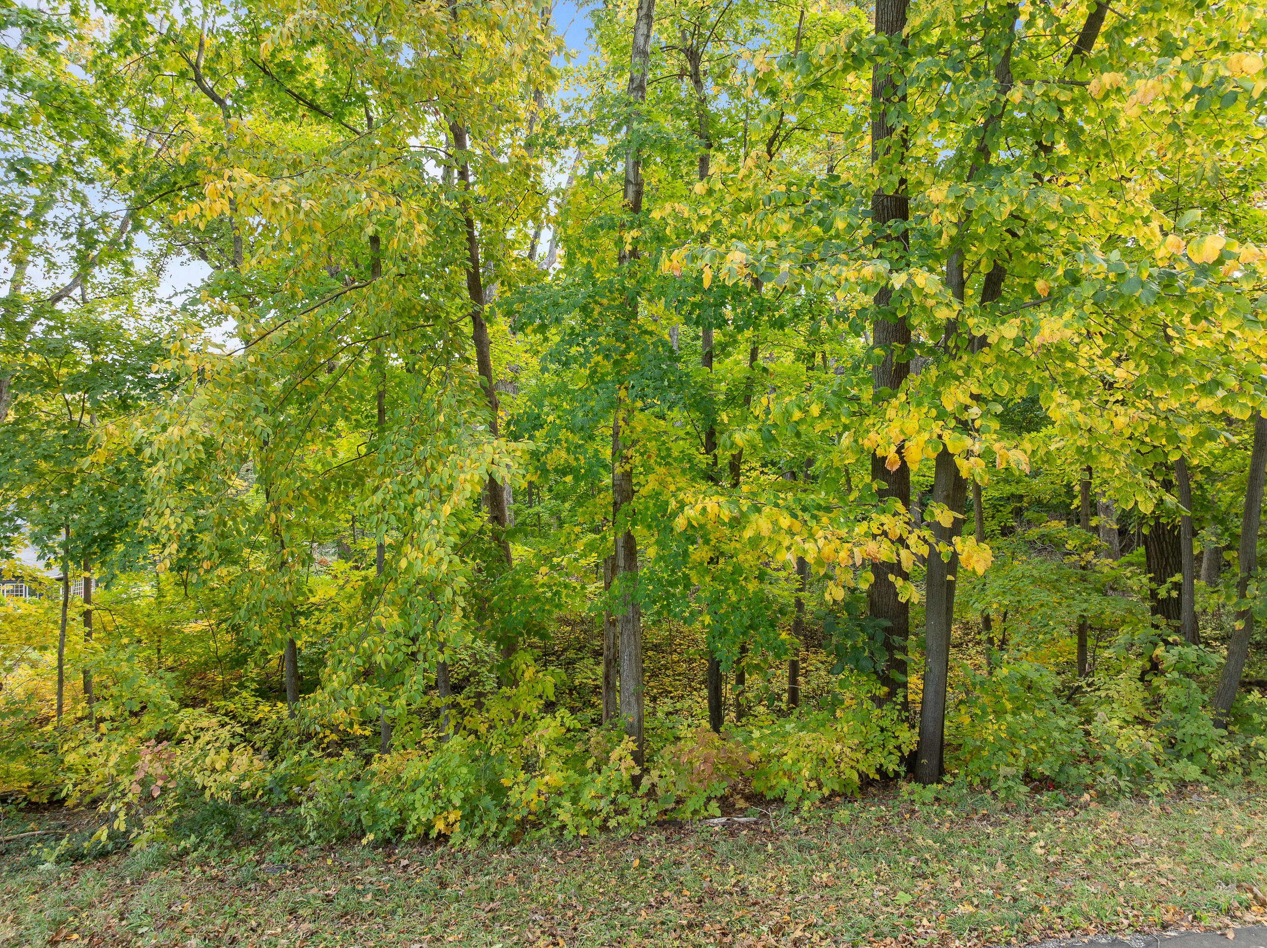 Lot 17 Green Hill Dr