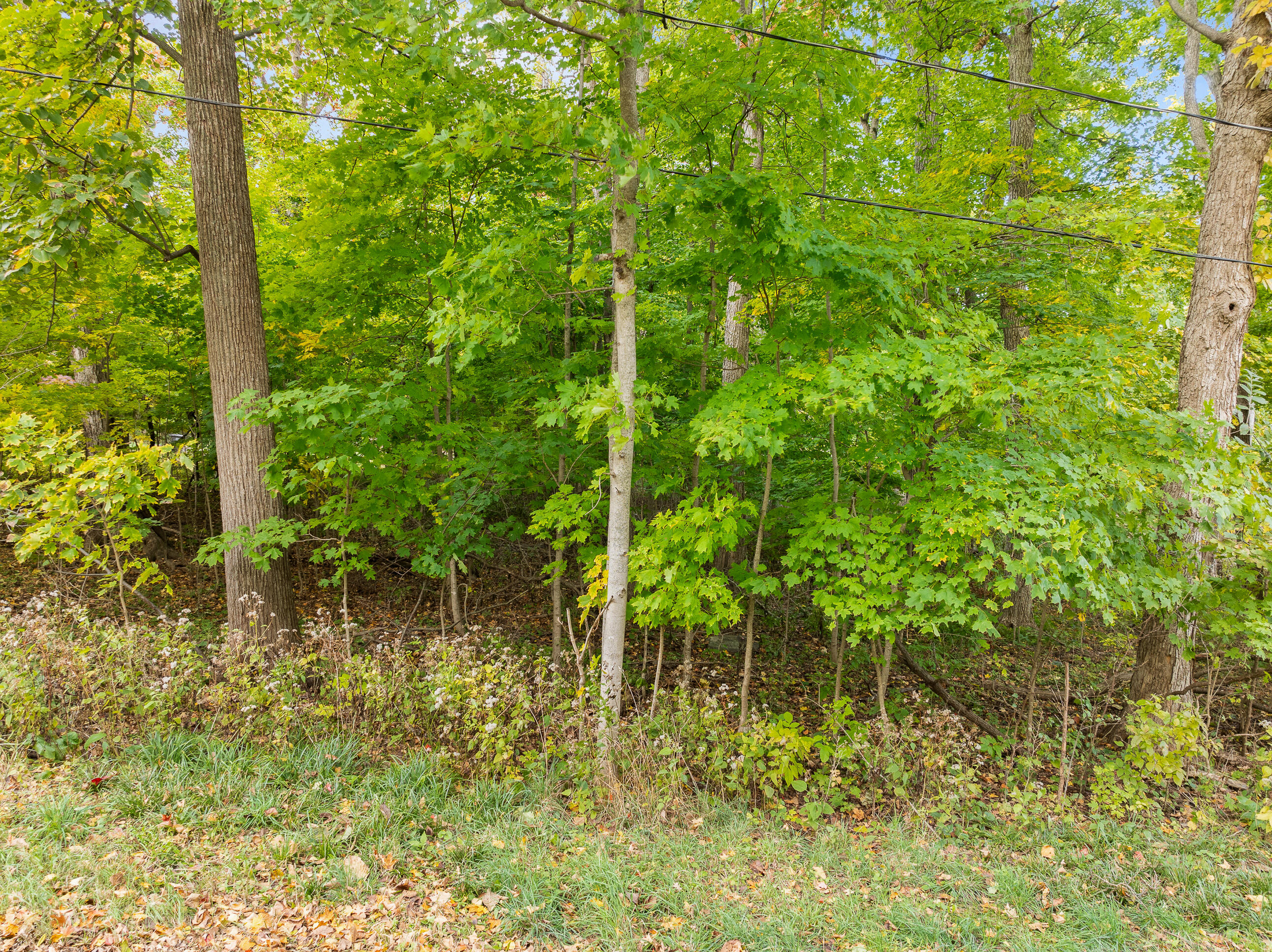 Lot 31 Summit Dr
