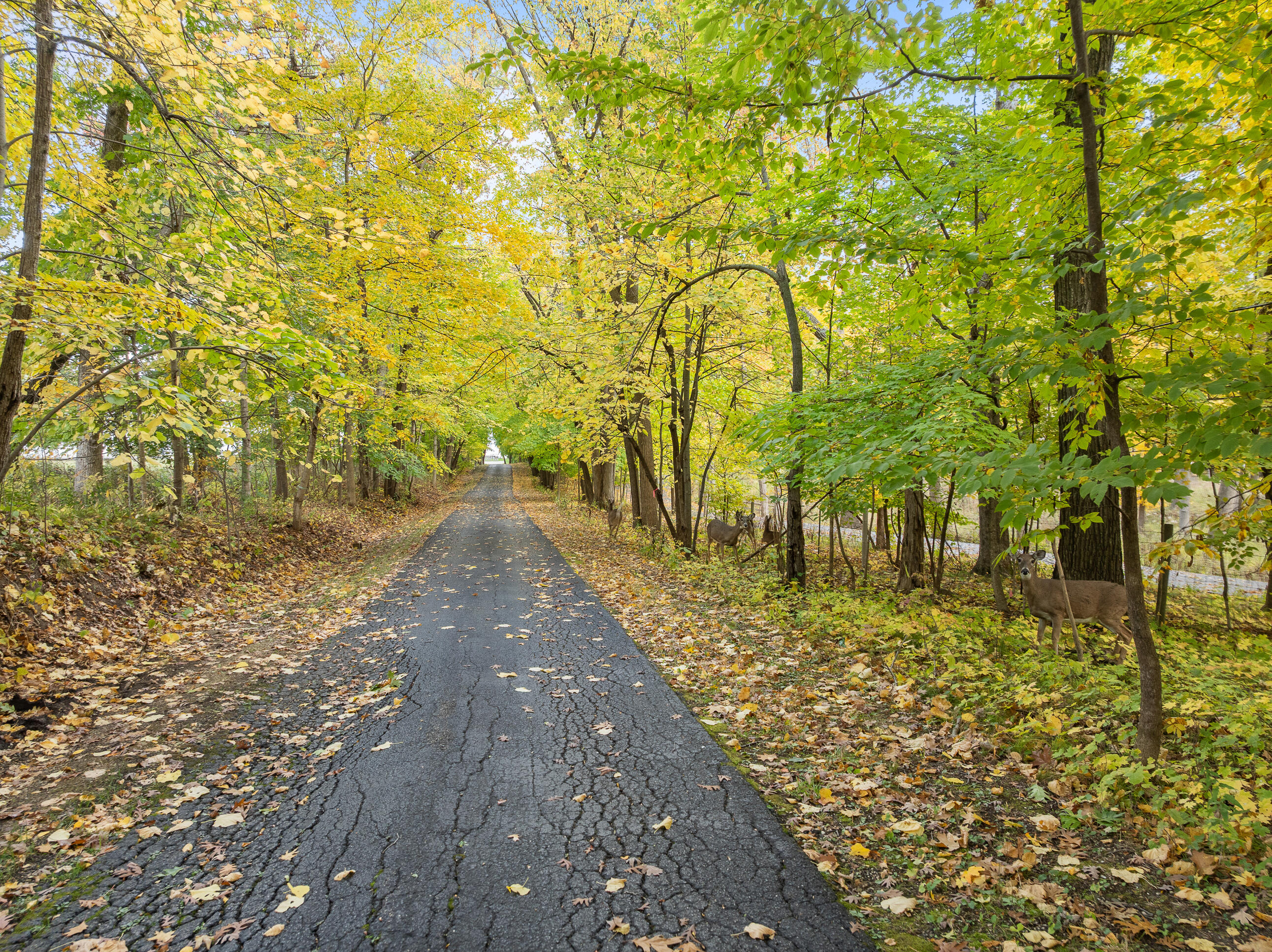 Lot 31 Summit Dr