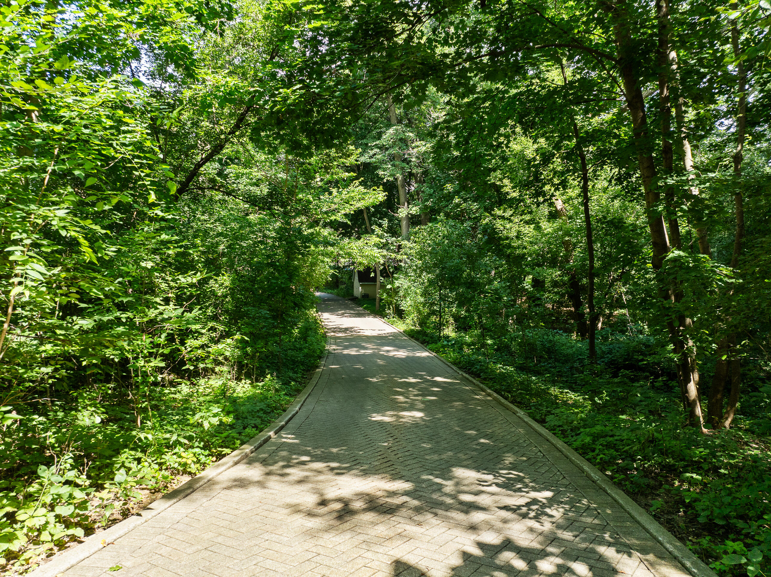 W2908 Walcowis Dr