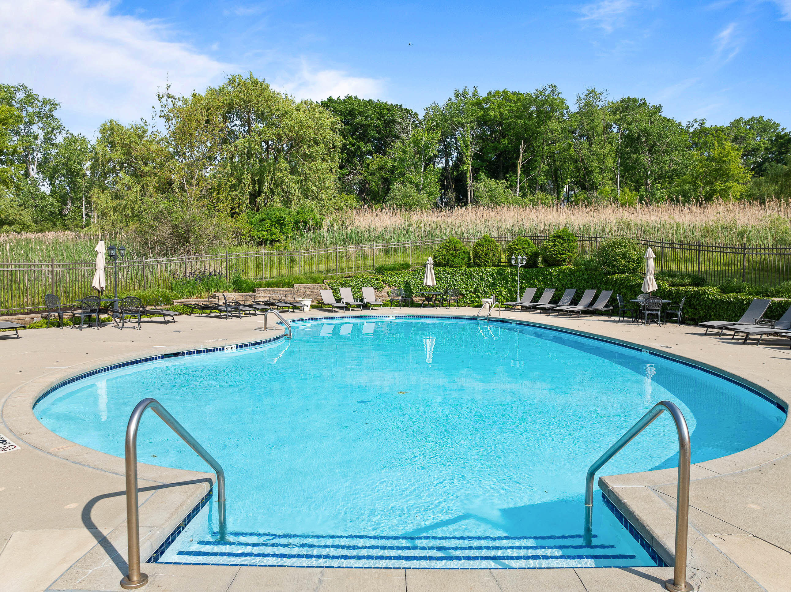 401 Abbey Ridge Ct