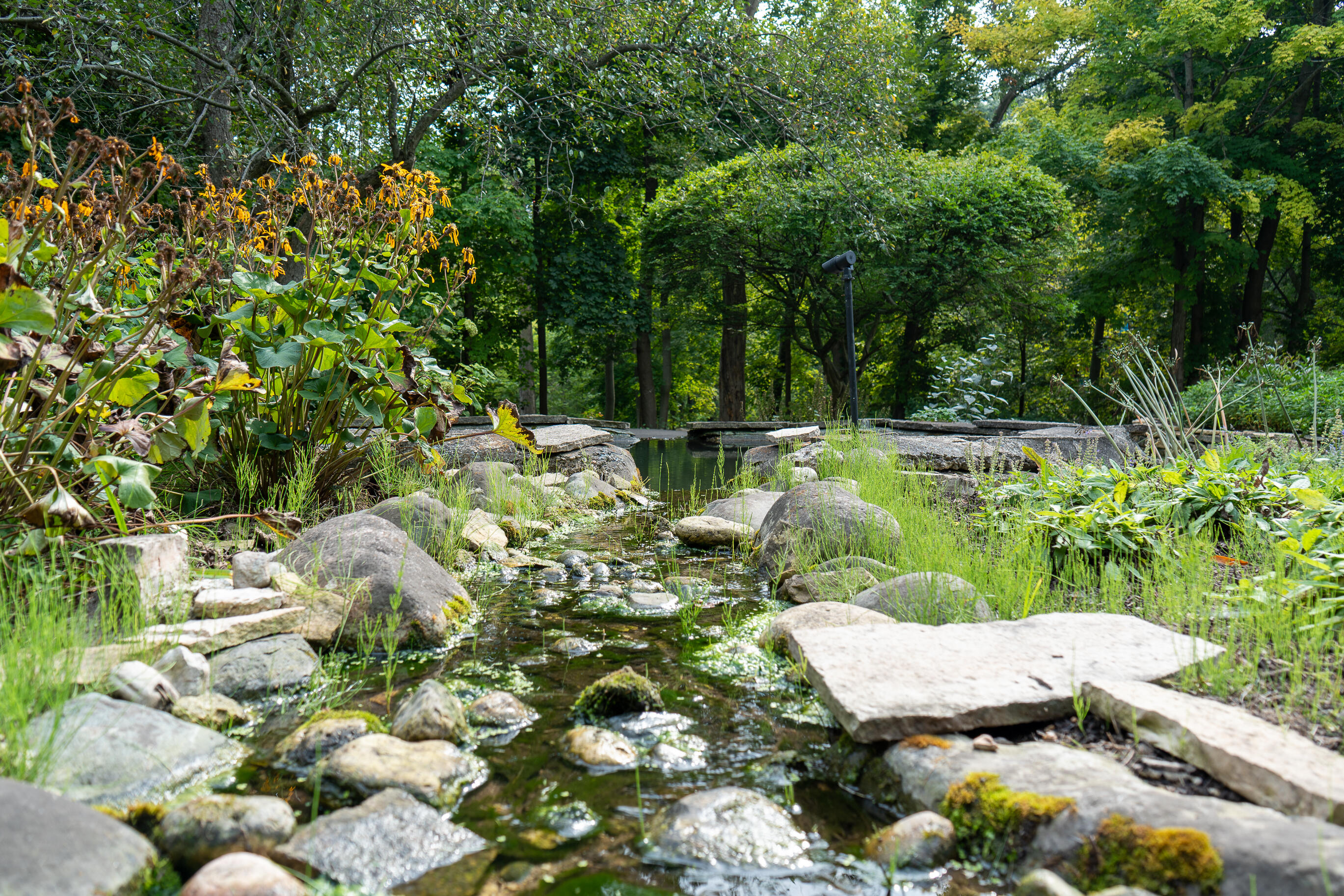 466 N Lower Gardens Rd