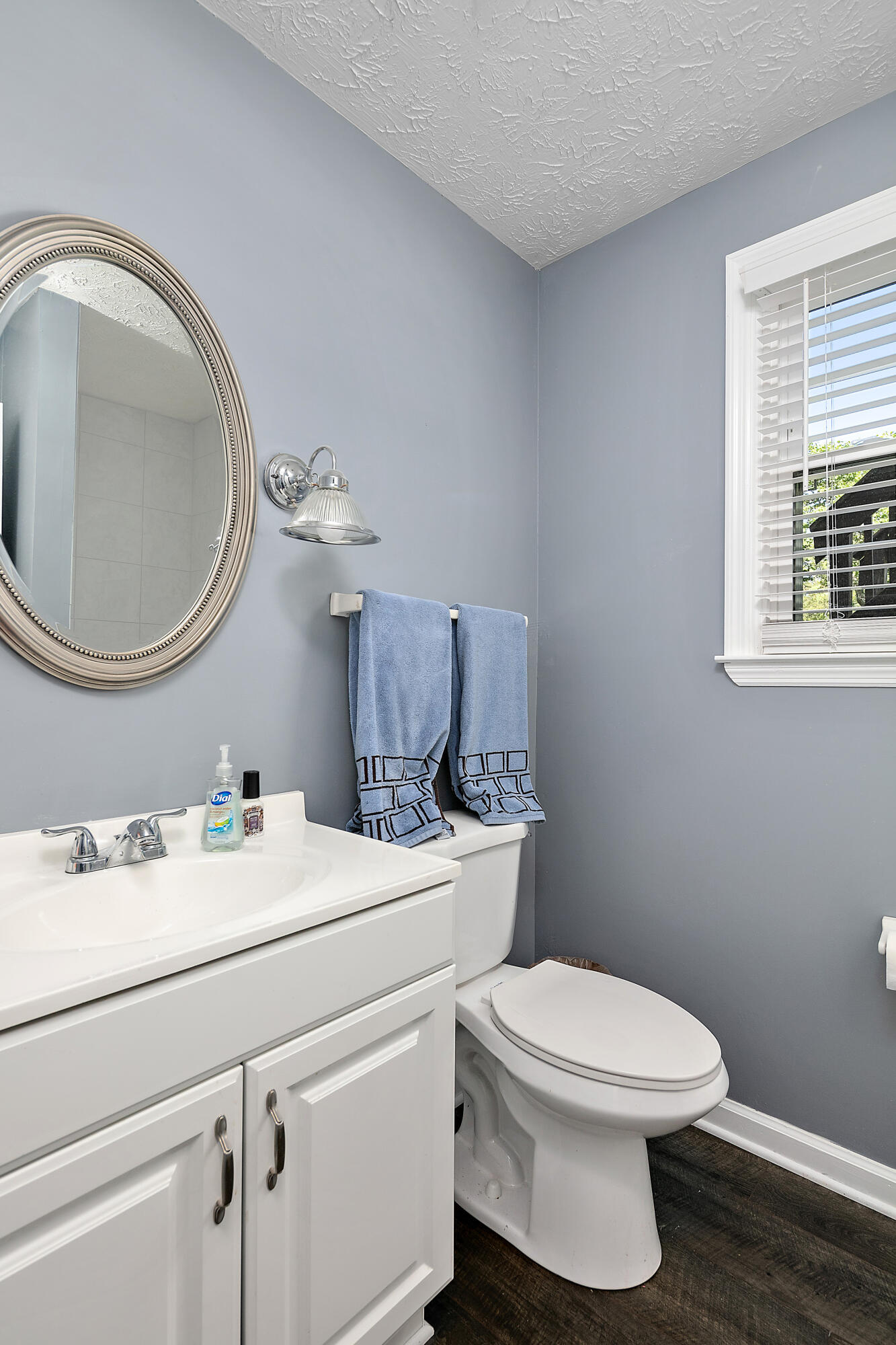 3289 Carlsbad Court