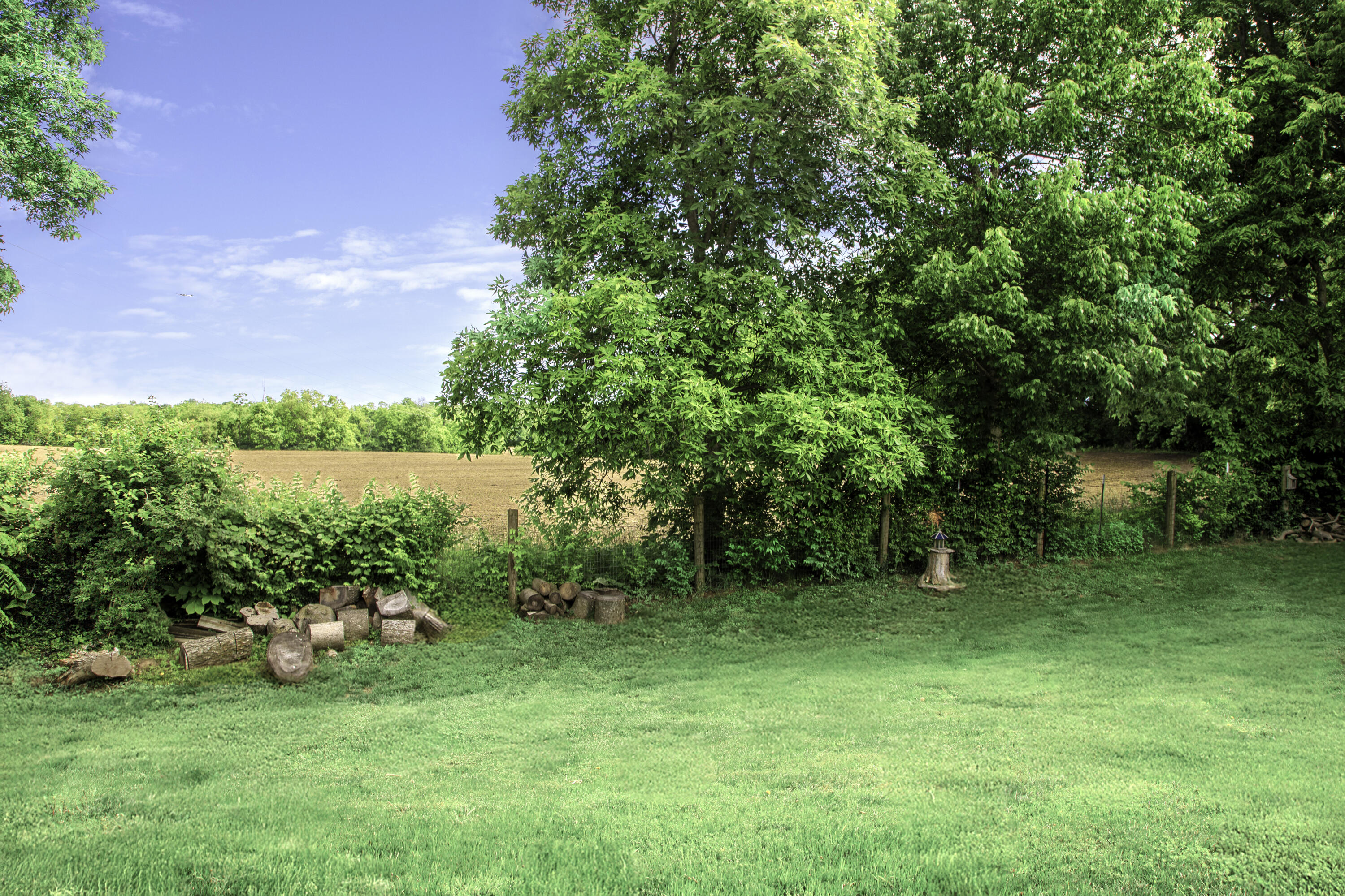 113 Bramble Court