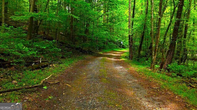 0 Nocona Trail