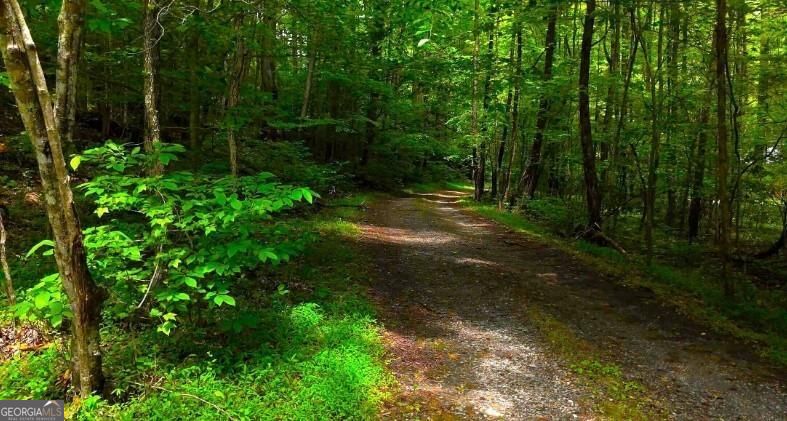 0 Nocona Trail