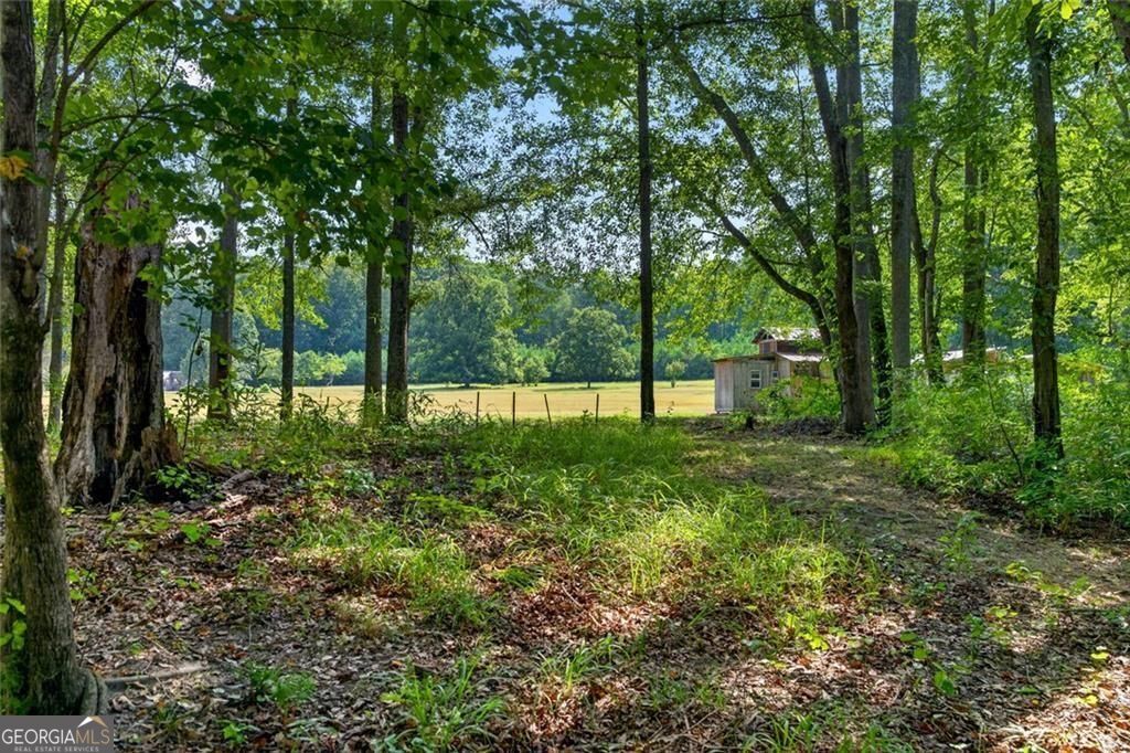 961 Birdie Road