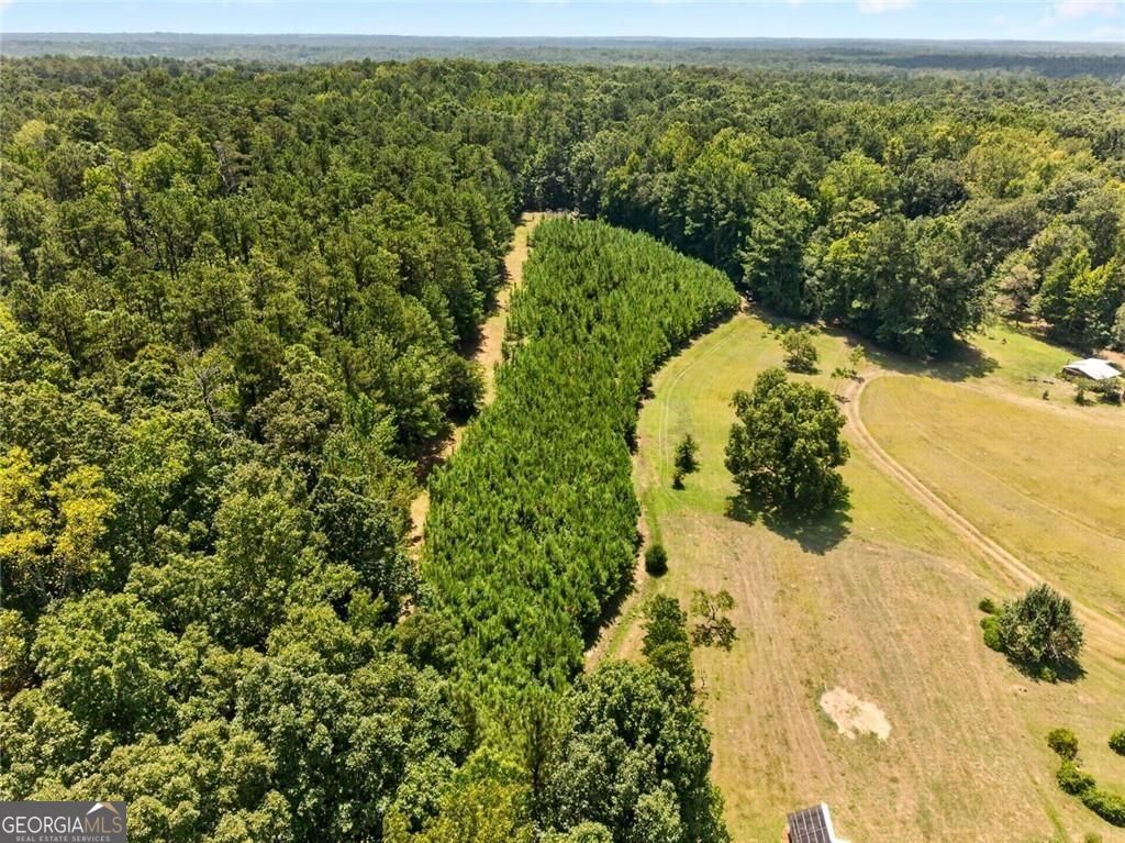 961 Birdie Road