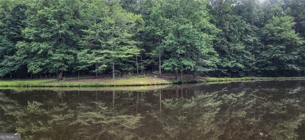 961 Birdie Road