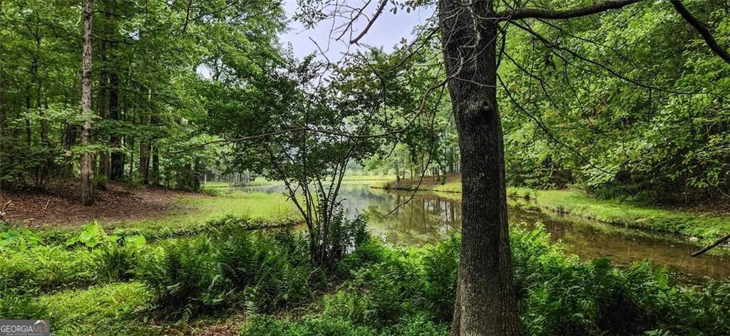 961 Birdie Road