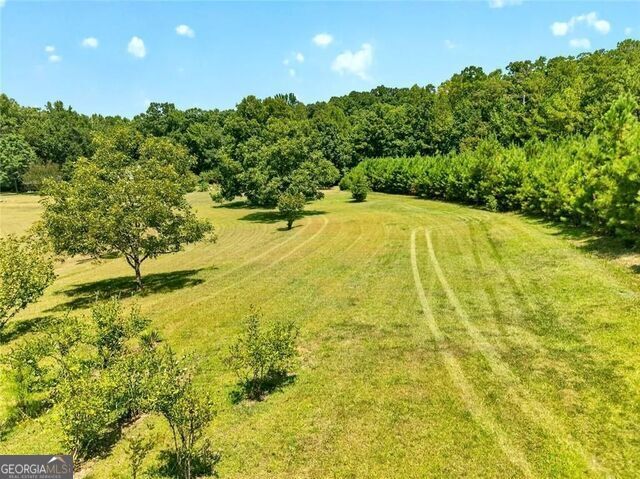 961 Birdie Road