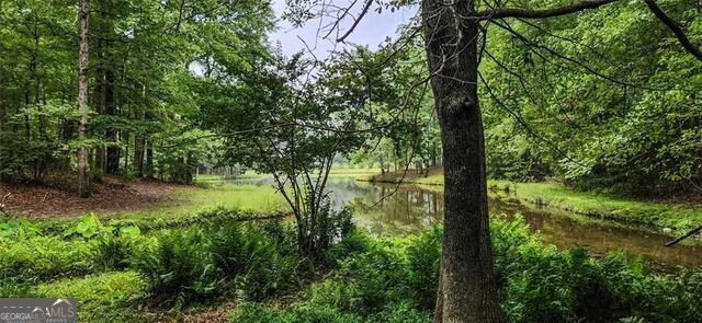 961 Birdie Road