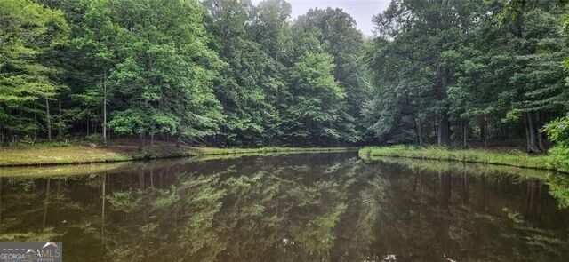 961 Birdie Road