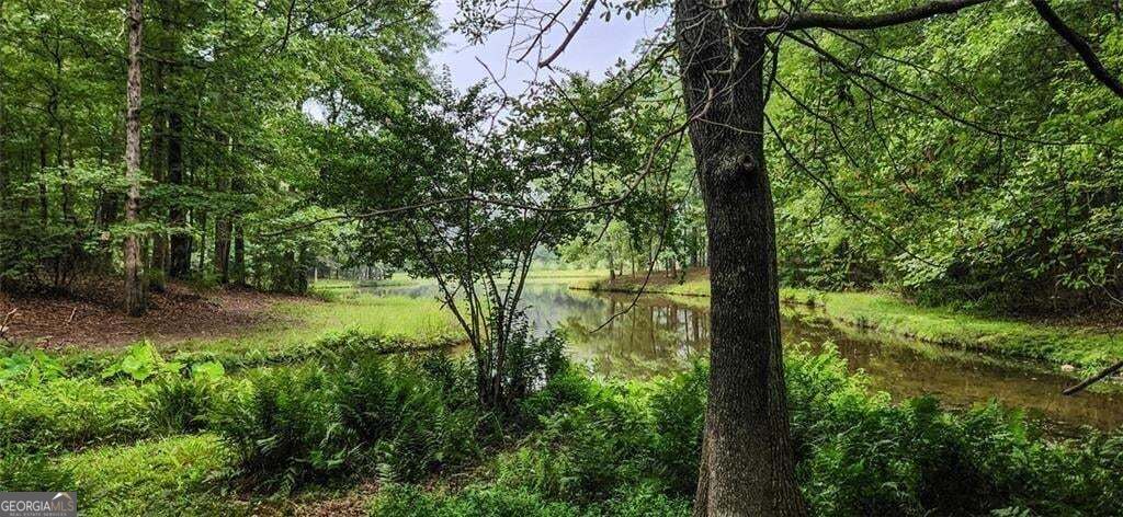 961 Birdie Road
