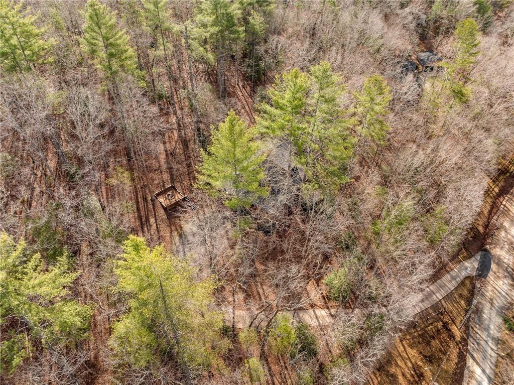 494 Weeks Creek Road