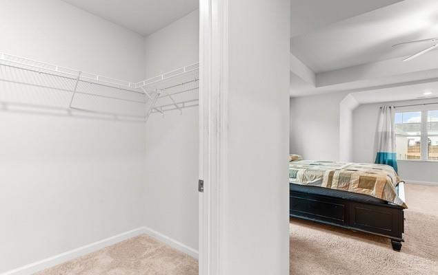 328 Orchid Drive