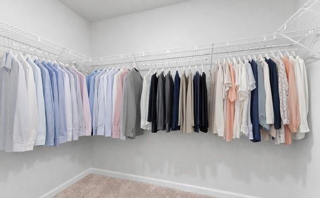 328 Orchid Drive