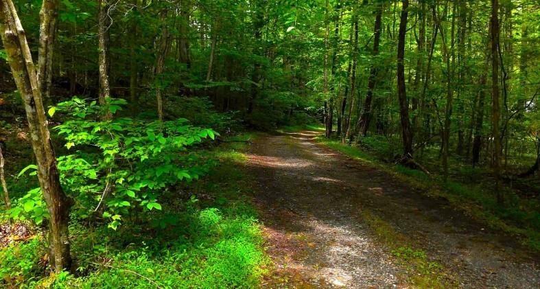 0 Nocona Trail