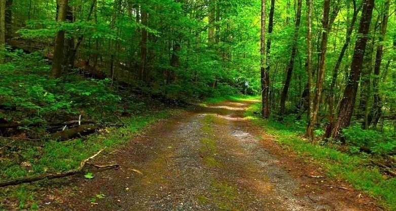 0 Nocona Trail