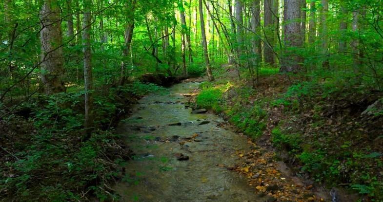 0 Nocona Trail