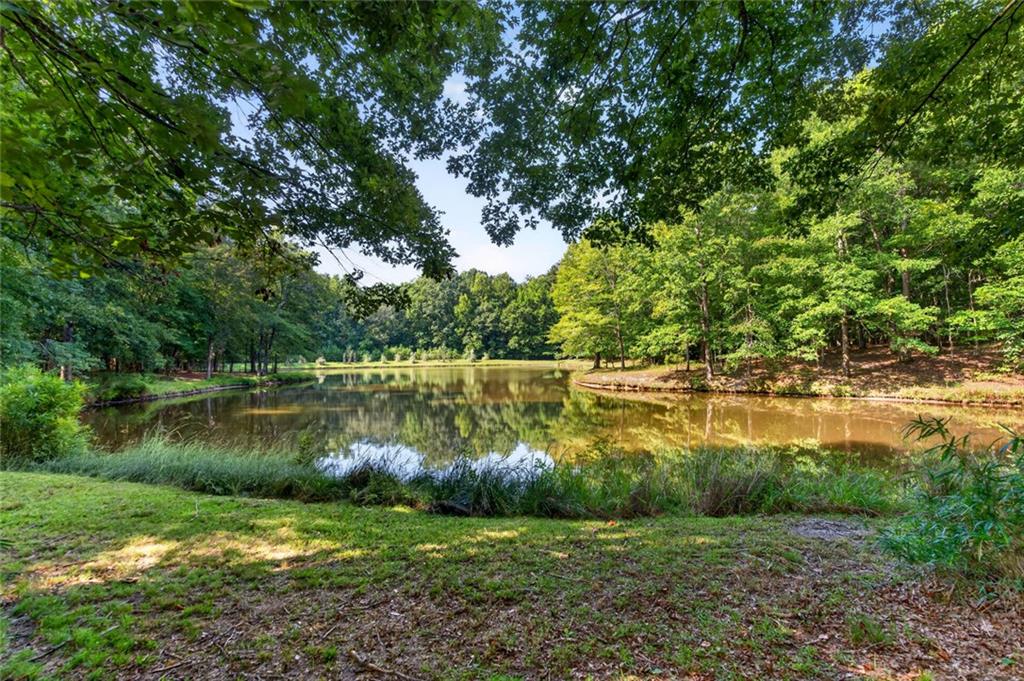 961 Birdie Road