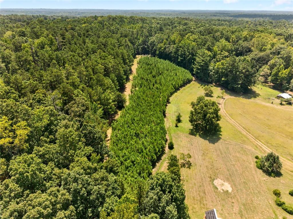 961 Birdie Road