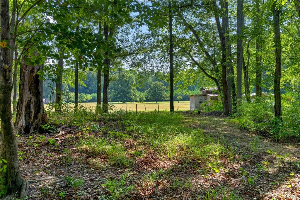 961 Birdie Road