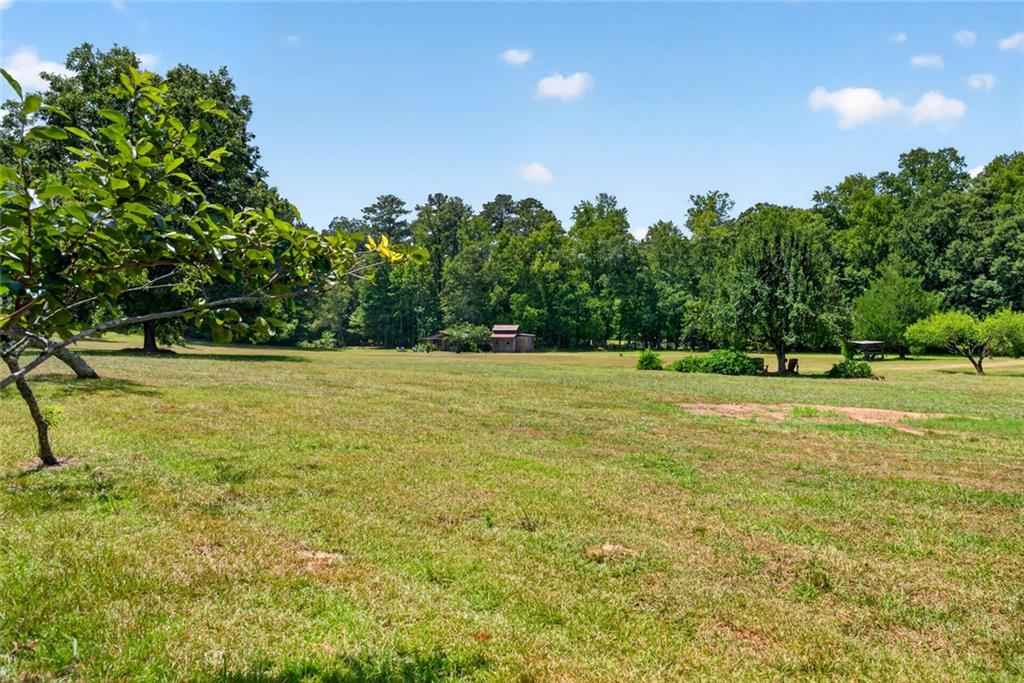 961 Birdie Road