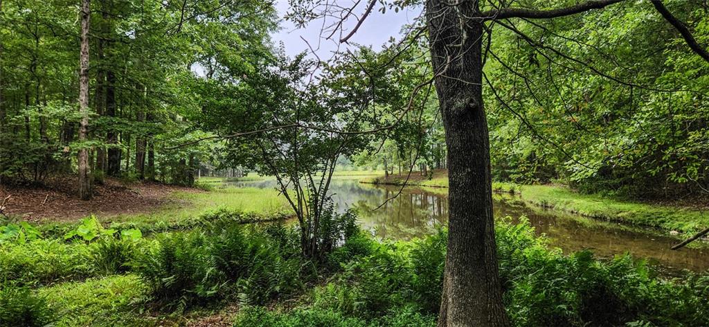 961 Birdie Road