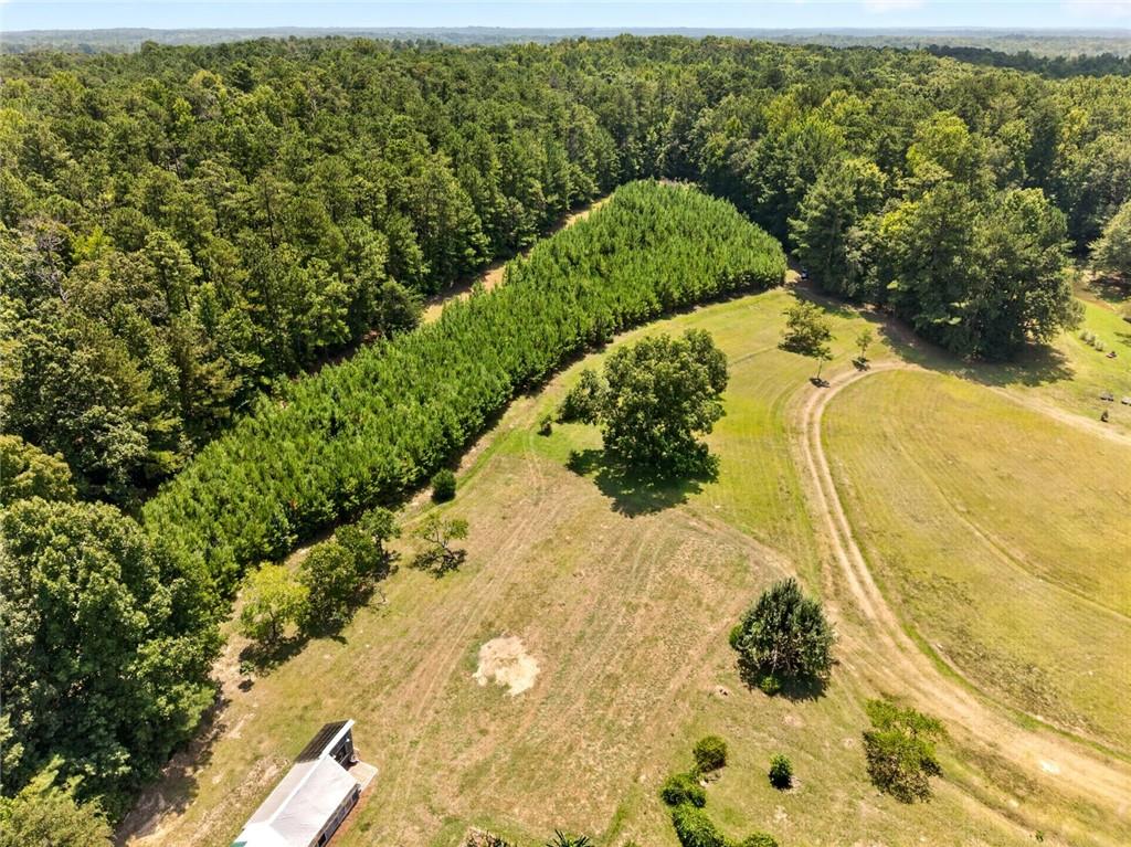 961 Birdie Road