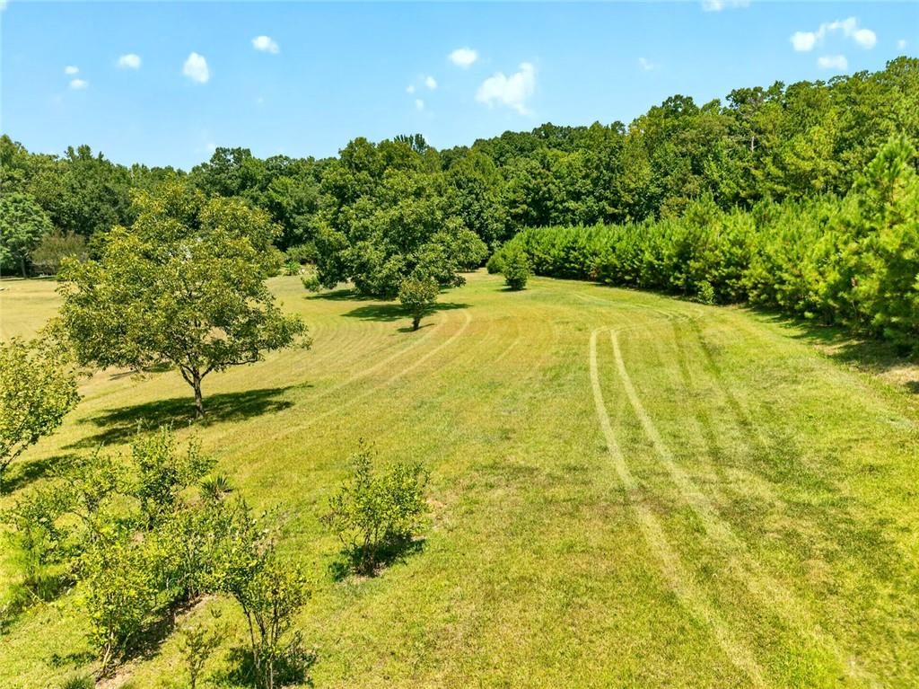 961 Birdie Road