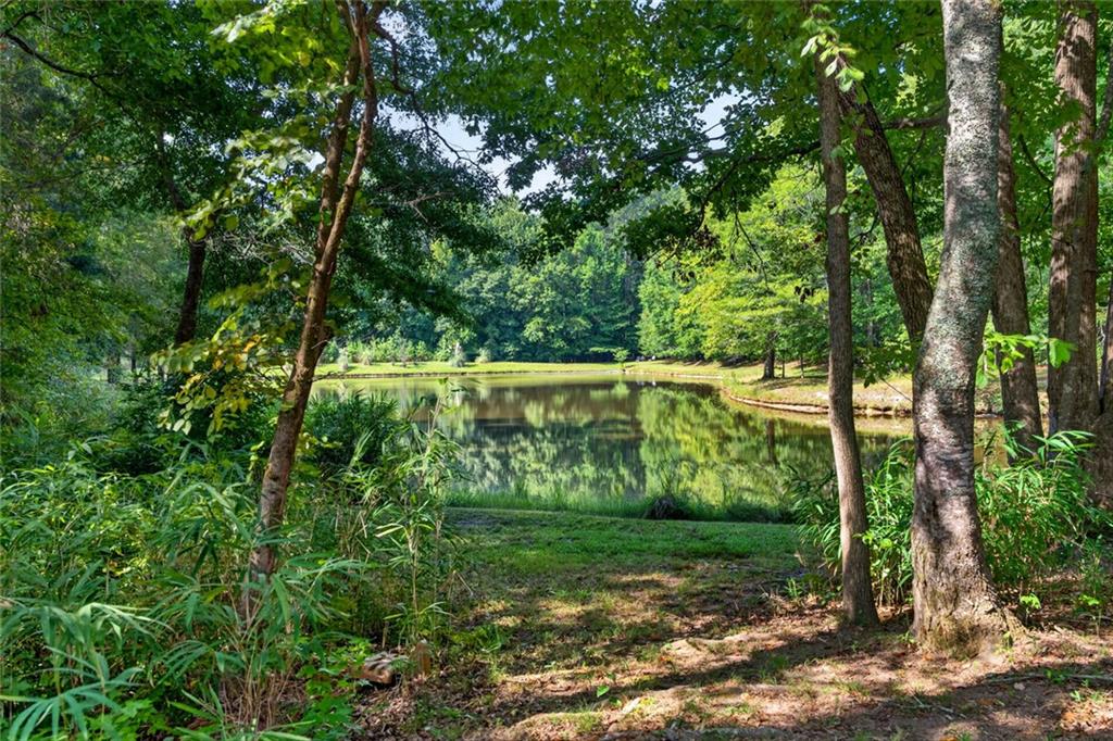 961 Birdie Road