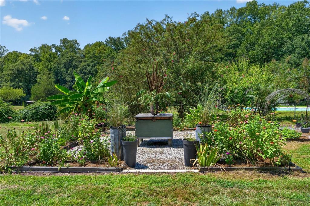 961 Birdie Road