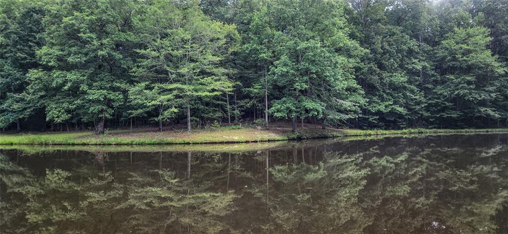 961 Birdie Road
