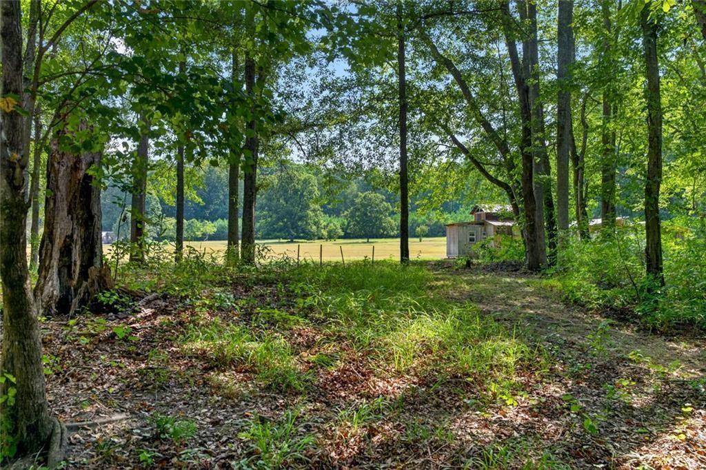 961 Birdie Road