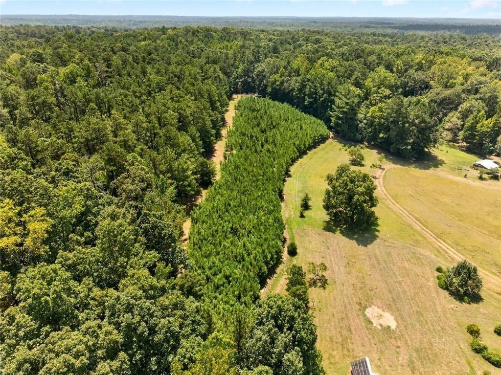 961 Birdie Road