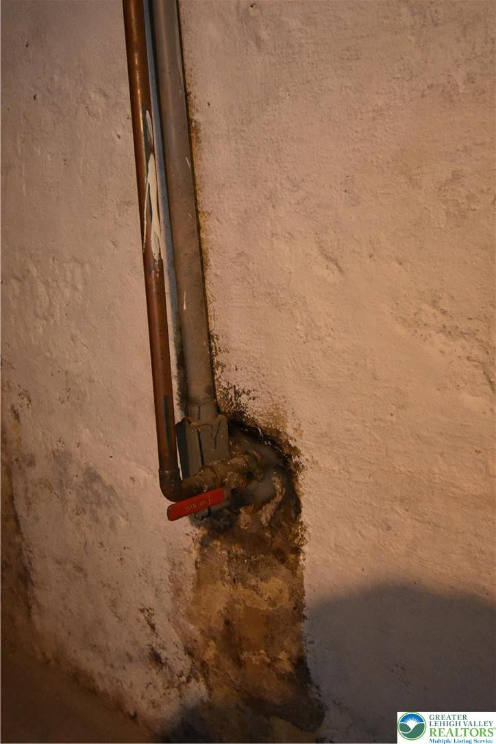 523 Greenwood Avenue