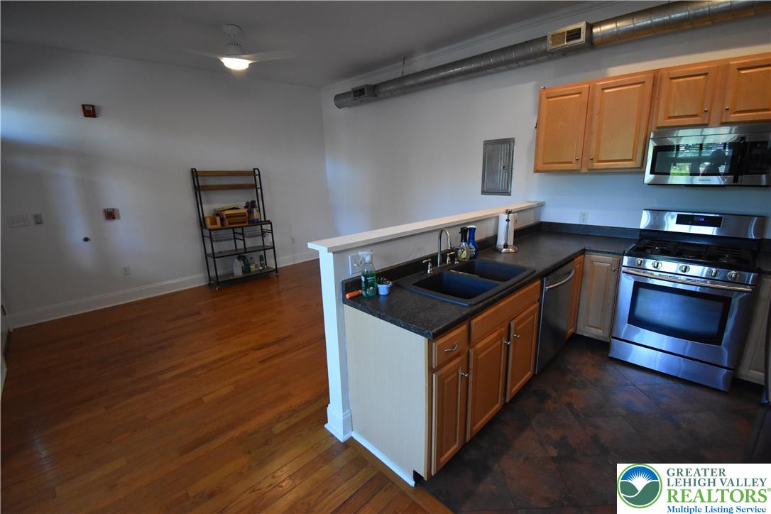217 Spring Garden Street 101