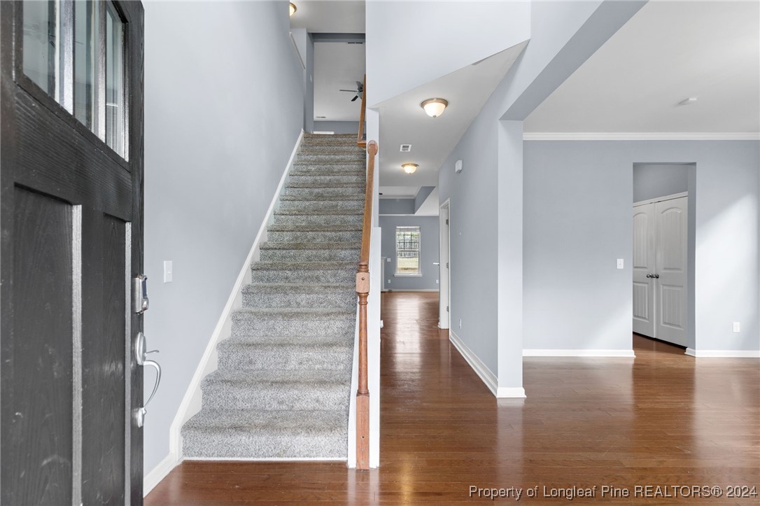 294 River Oak Street