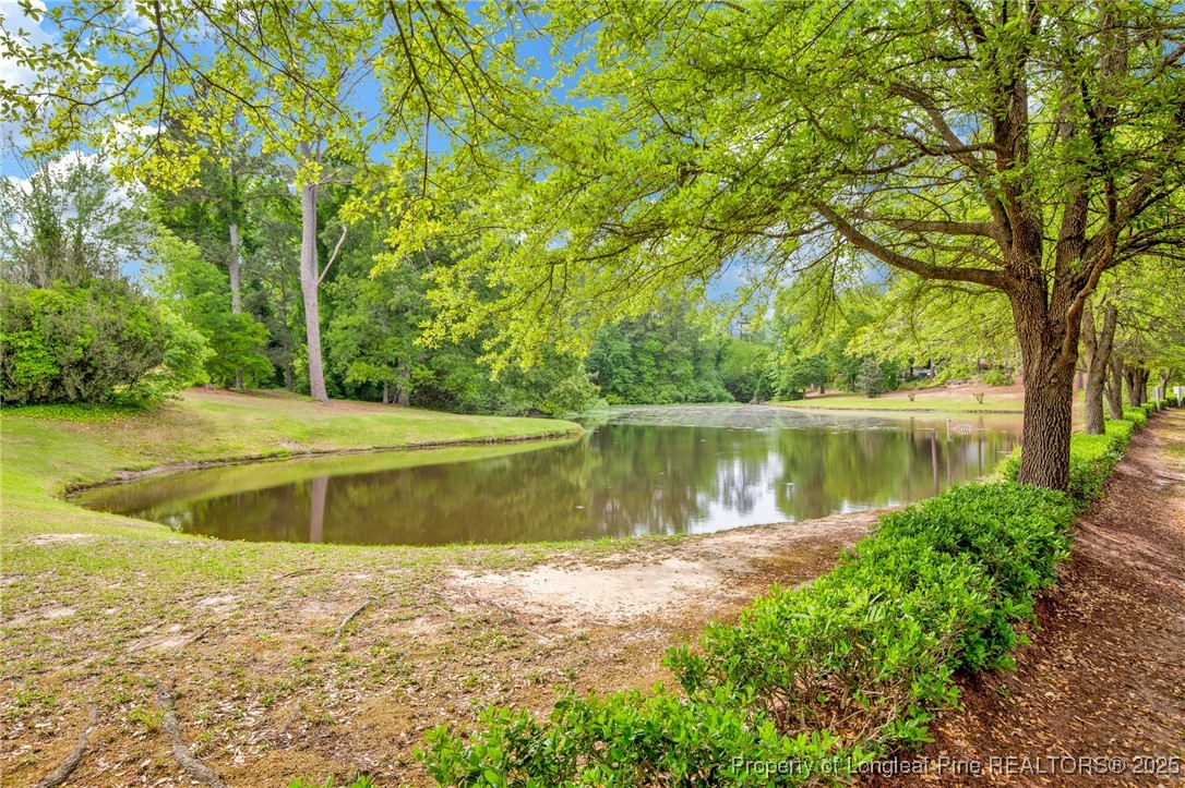 3119 Wisteria Lane 102