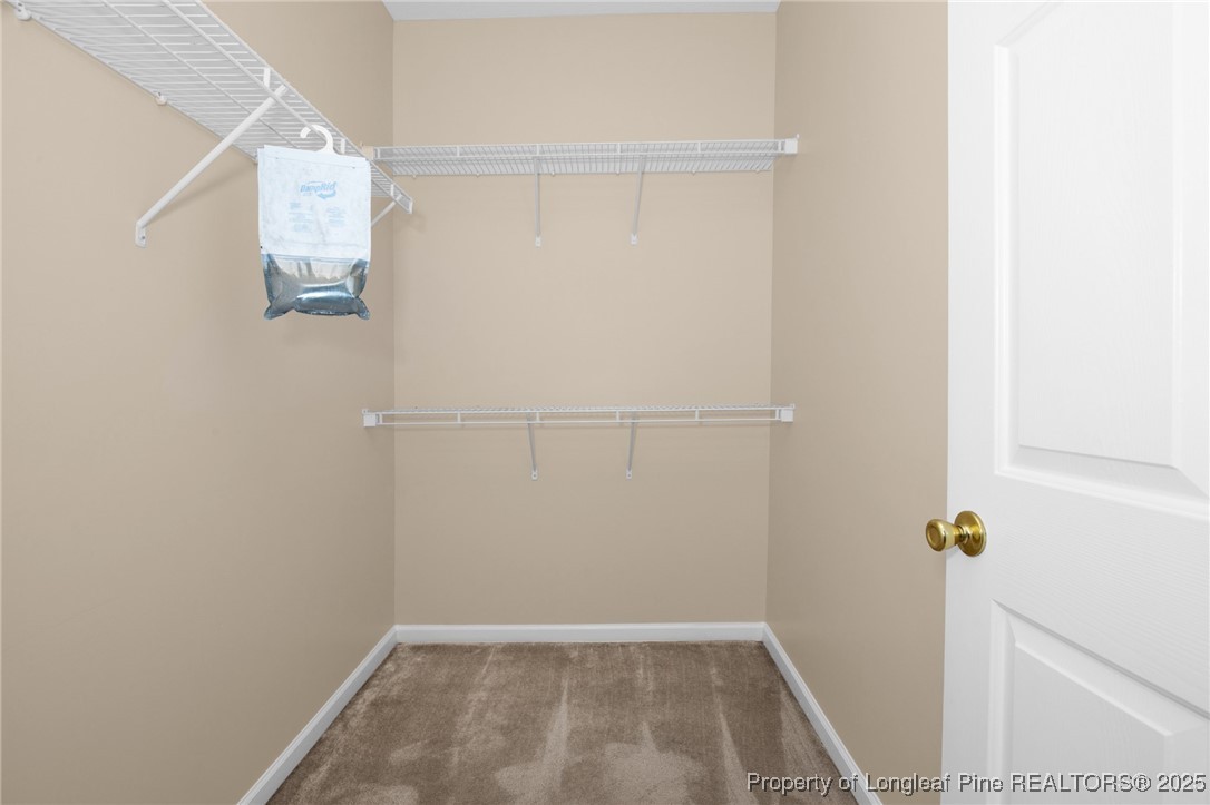 3119 Wisteria Lane 102