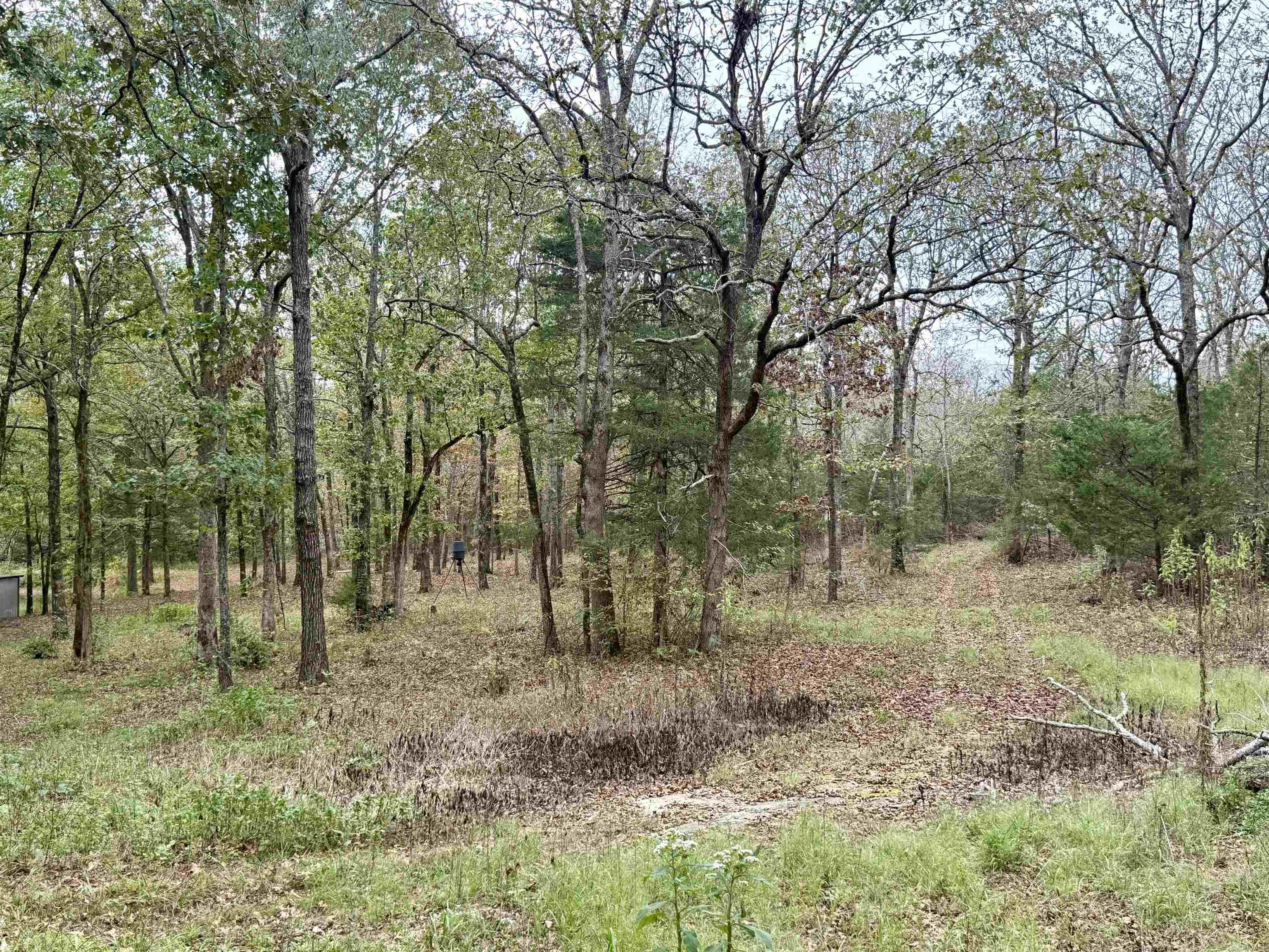 702 Fox Run Trail