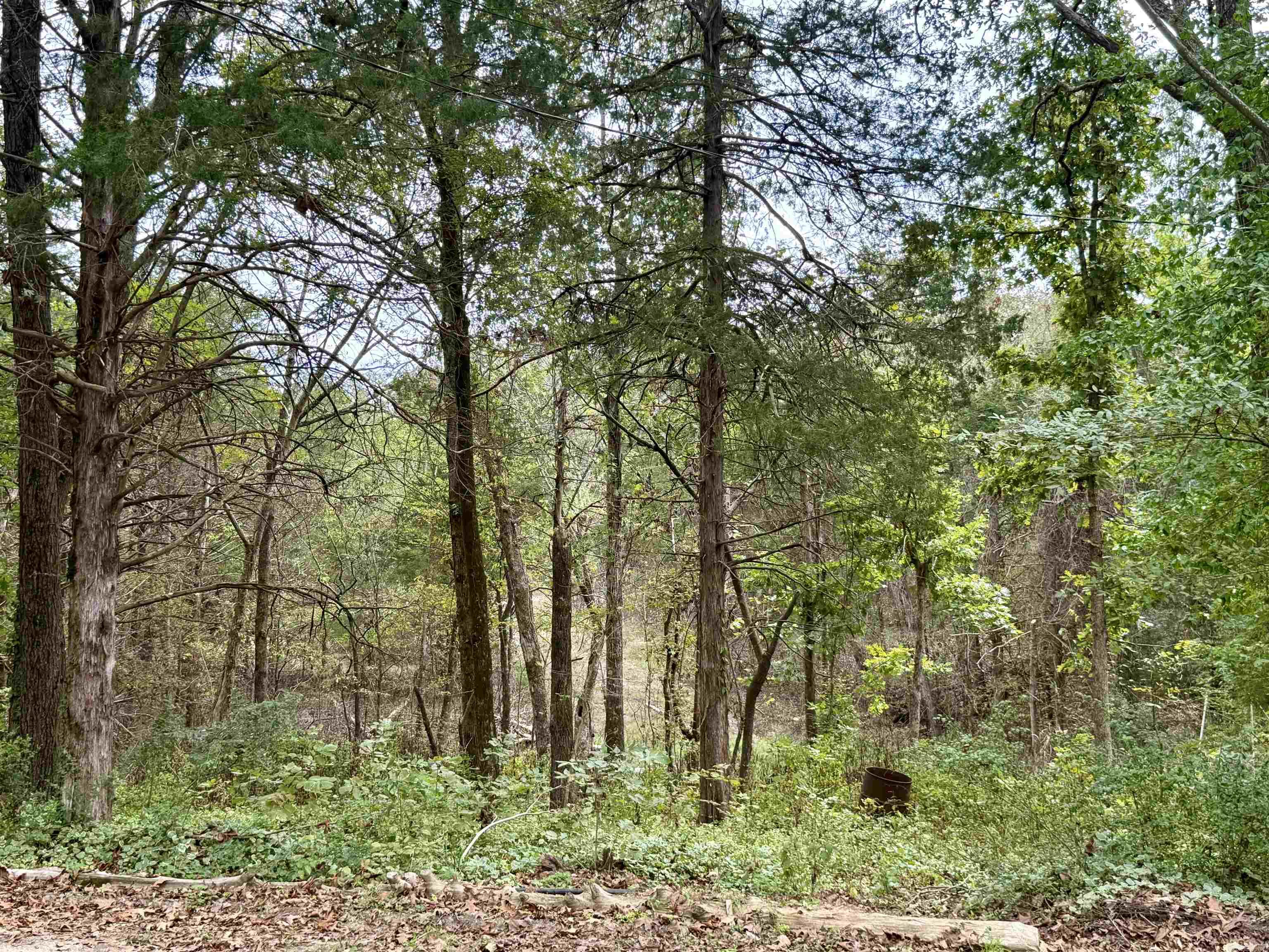 702 Fox Run Trail