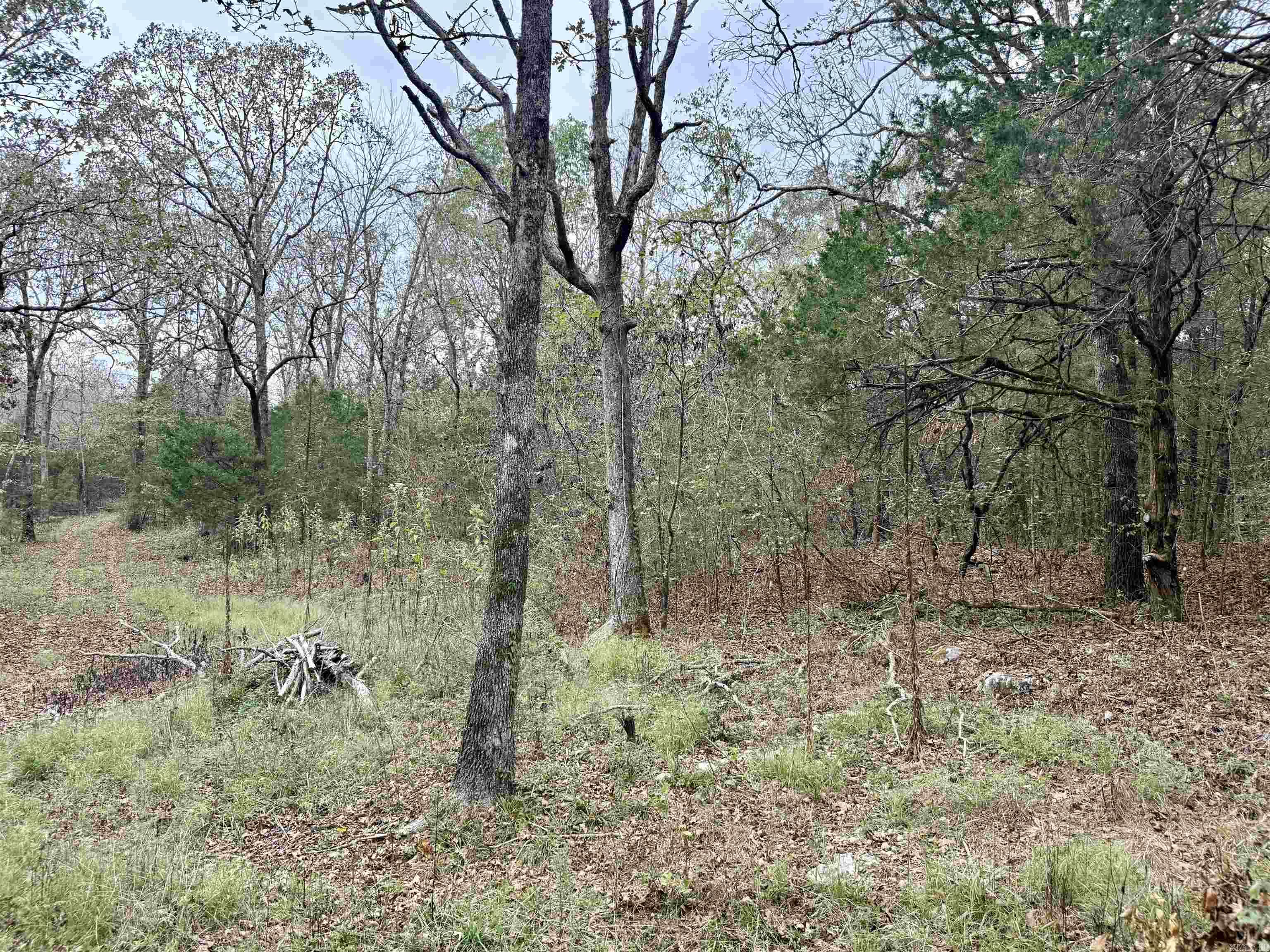 702 Fox Run Trail