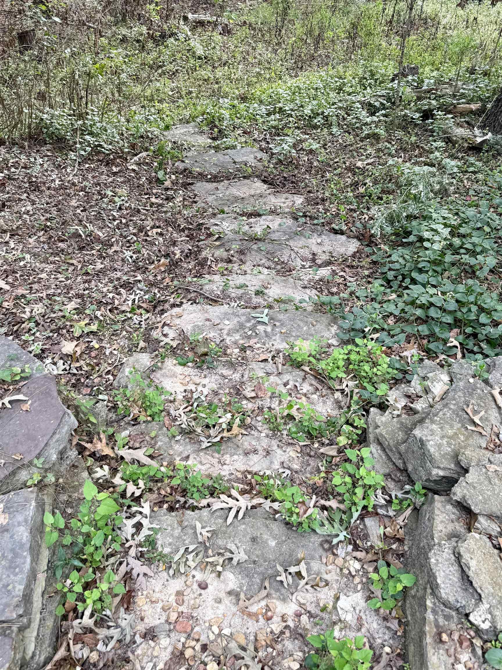 702 Fox Run Trail