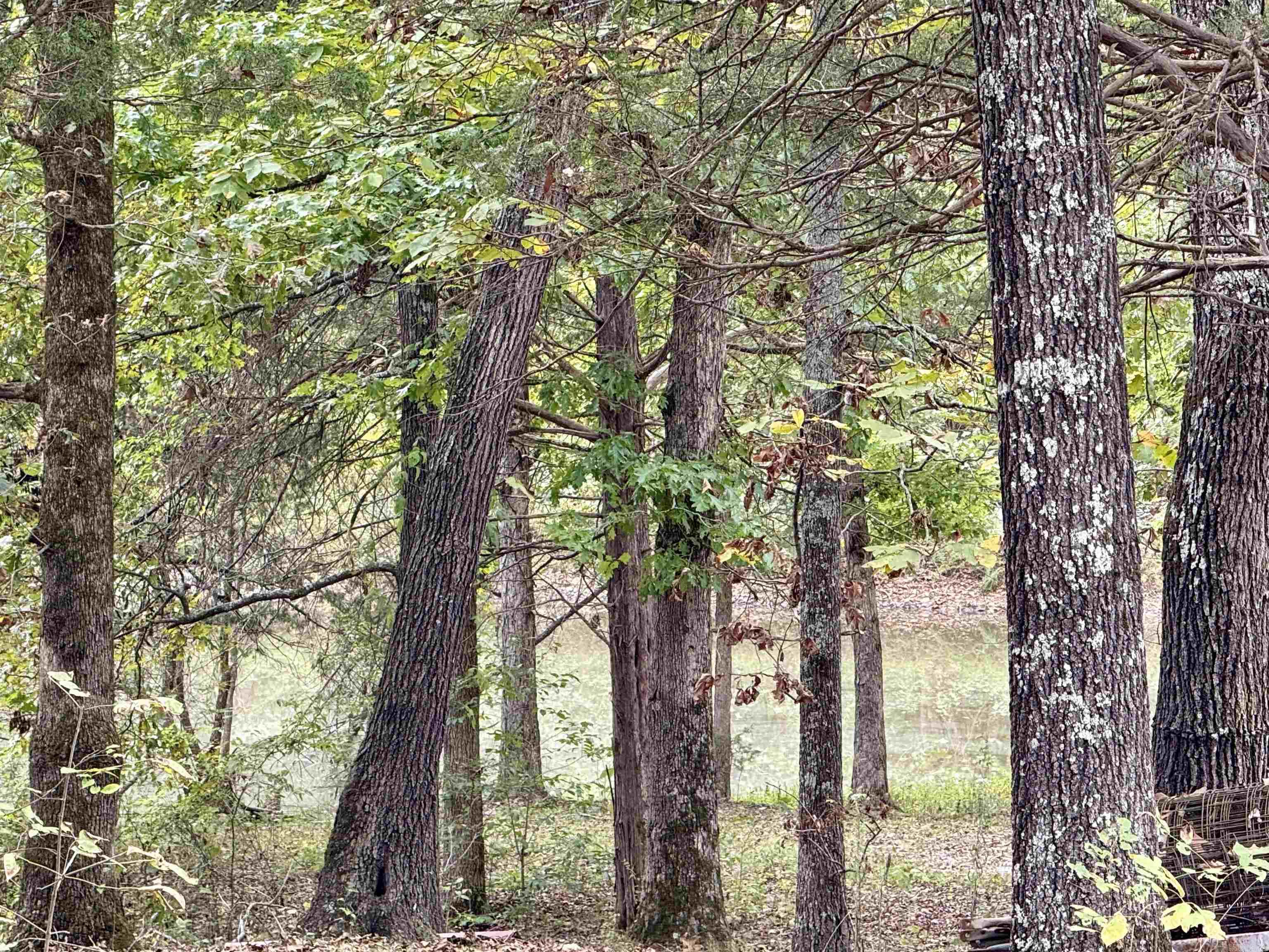 702 Fox Run Trail