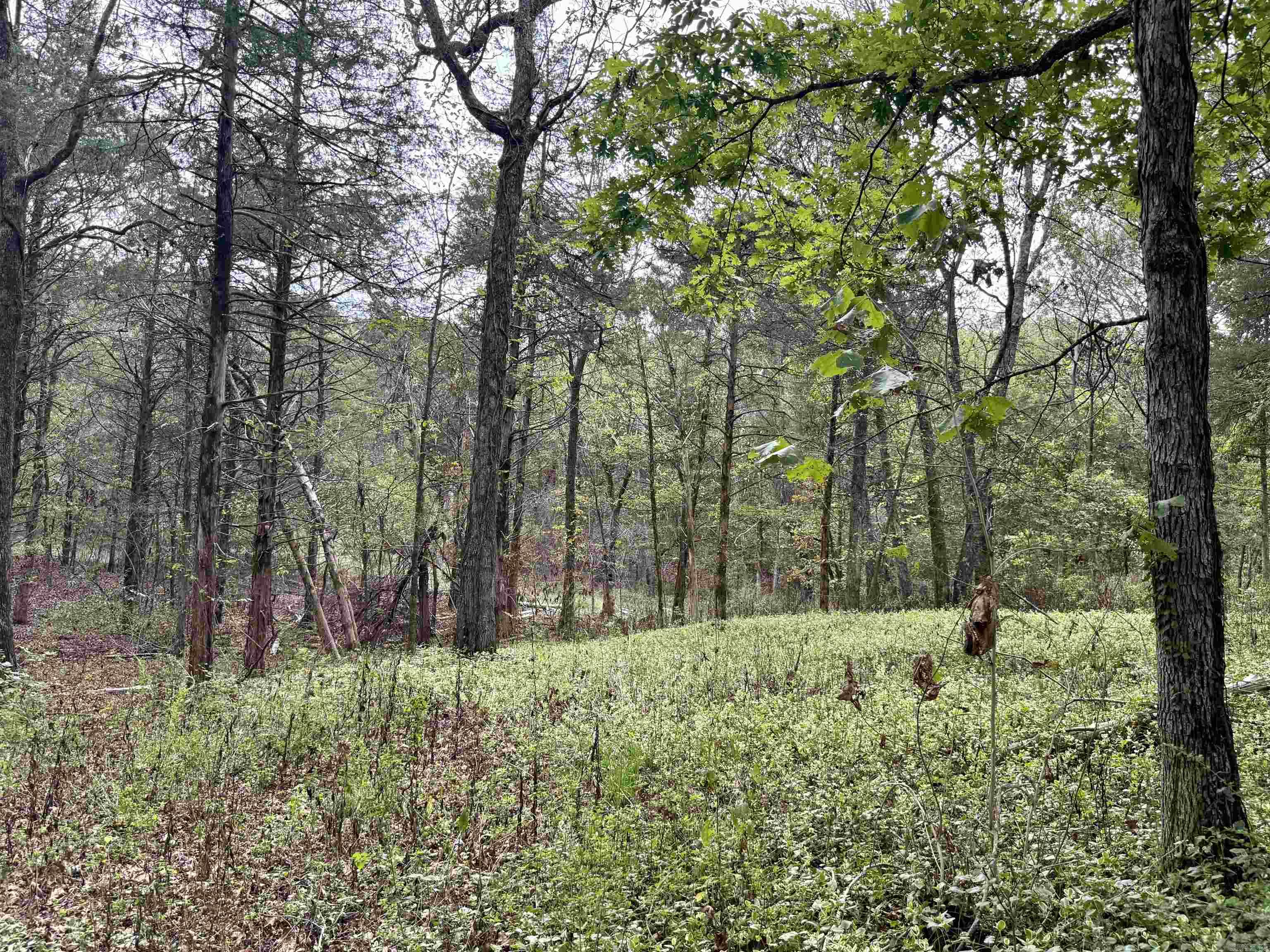 702 Fox Run Trail
