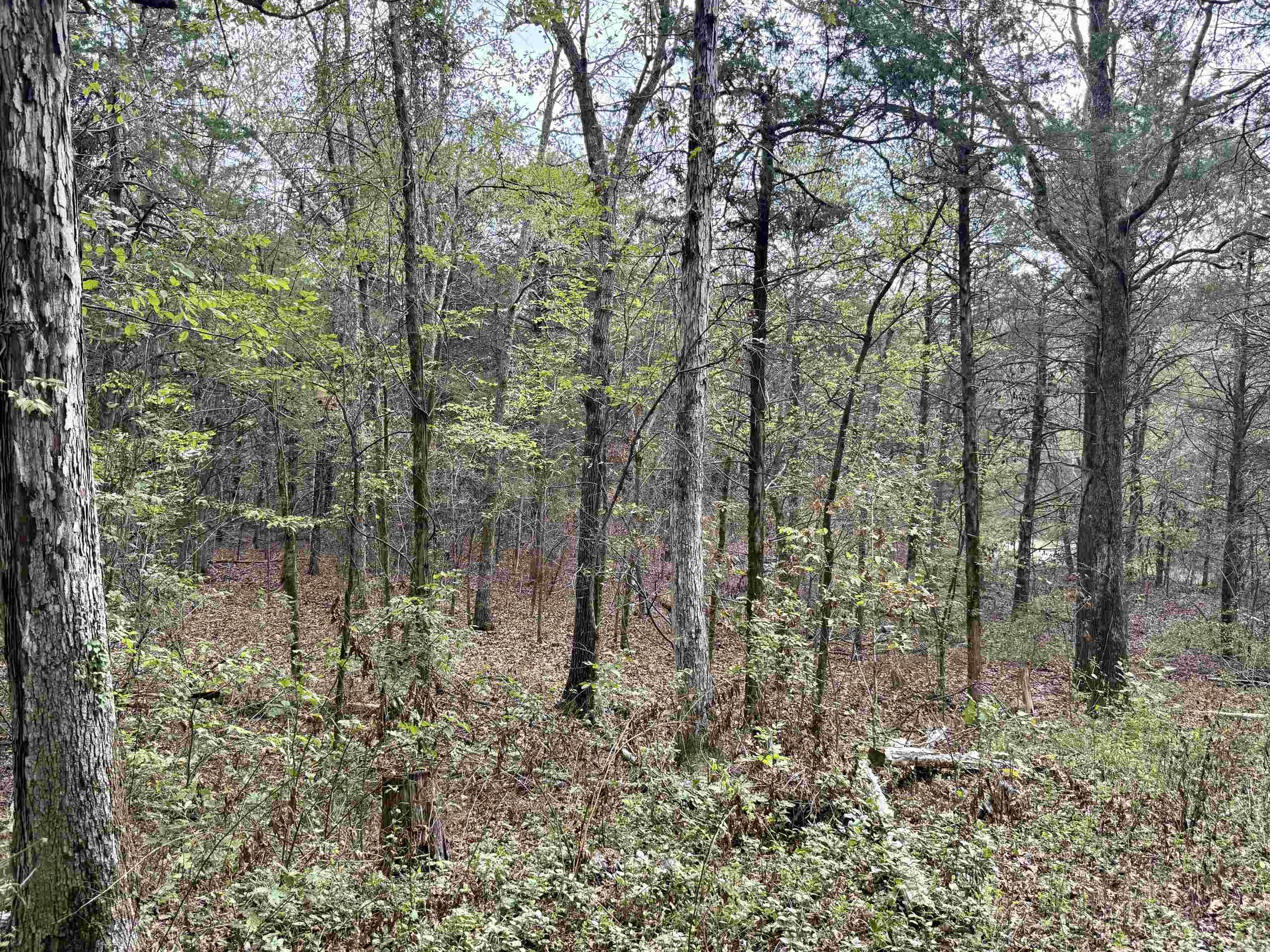 702 Fox Run Trail